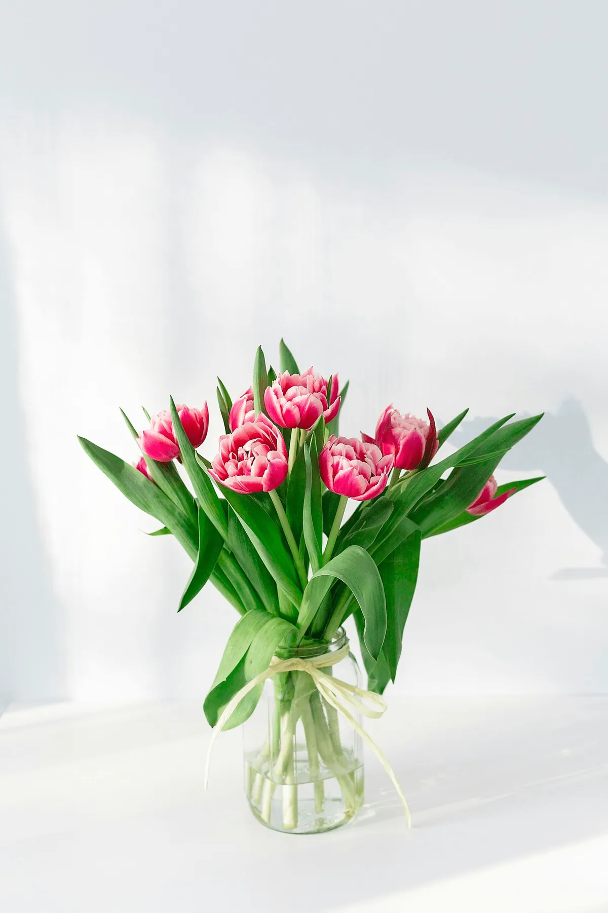 Tulips gathered the morning the bottles were filled